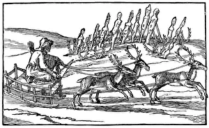 Samoyed travelling on a sleigh pulled by reindeer, late 16th-early 17th century Samoyed travelling on a sleigh pulled by reindeer, late 16th-early 17th century