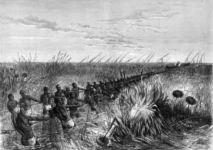 Hauling Prints: Samuel Bakers boat hauled through river grass, 1864 (1874)