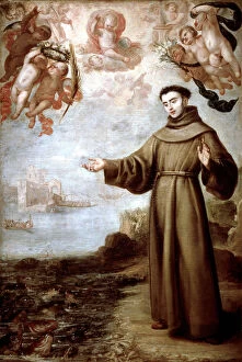 Pintura Collection: San Antonio De Padua