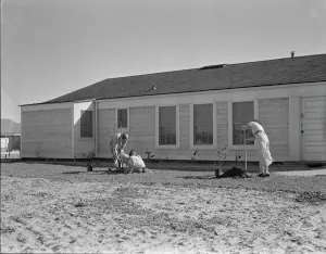 Resettlement Prints: San Fernando federal subsistence homesteads, California, 1936. Creator: Dorothea Lange