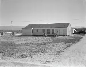 Resettlement Prints: San Fernando federal subsistence homesteads, California, 1936. Creator: Dorothea Lange