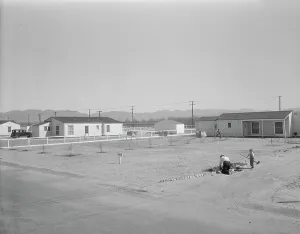 Homestead Prints: San Fernando federal subsistence homesteads, California, 1936. Creator: Dorothea Lange