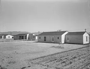 Homestead Prints: San Fernando federal subsistence homesteads, California, 1936. Creator: Dorothea Lange