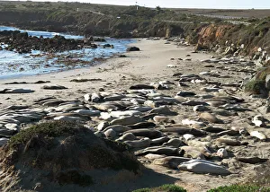 San Simeon, California, USA, 2022. Creator: Ethel Davies