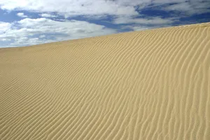 Sand Dunes, Corralejo, Fuerteventura, Canary Islands