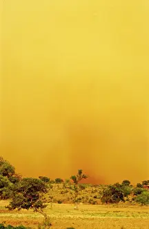 West African Prints: Sandstorm, Mali, 1990. Creator: Amanda Waite