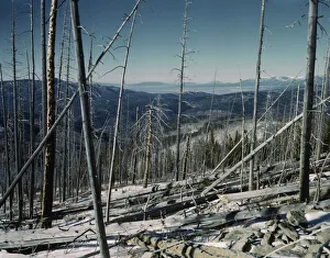 John Collier Junior Gallery: Sangre de Cristo Mountains, looking north into Colorado, 1943. Creator: John Collier