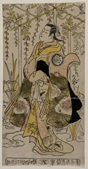 Torii Kiyonobu Gallery: Sanjo Kantaro as a Young Woman Standing in a Wisteria Arbor, c. early or mid 1730s