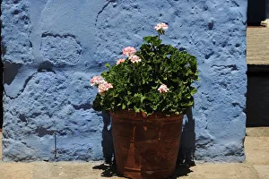 Santa Catalina Monastery, 2015. Creator: Luis Rosendo