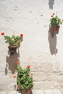 Santa Catalina Monastery, 2015. Creator: Luis Rosendo