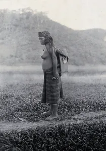 Carrying On Back Prints: Sarawak: a Kayan woman carrying her child in a sling, c19th century. Creator: Unknown