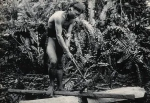 Jungle Prints: Sarawak: a Kenyah worker cutting a blowpipe from a block of wood, c1900. Creator: Unknown