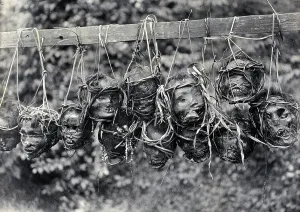 Decapitation Prints: Sarawak: preserved and decorated human heads taken and strung up by Sea Dayaks
