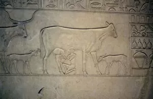 Sarcophagus, Middle Kingdom, Ancient Egyptian, c2040-1786 BC