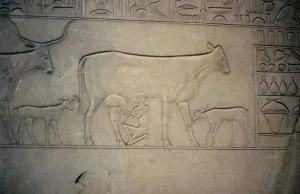 Grave Goods Prints: Sarcophagus, Middle Kingdom, Ancient Egyptian, c2040-1786 BC
