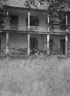 Sarpy plantation below the city of New Orleans, between 1920 and 1926. Creator: Arnold Genthe