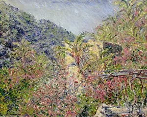 Bordighera Gallery: The Sasso Valley. Sun Effect (Vallee de Sasso, effet de soleil), 1884