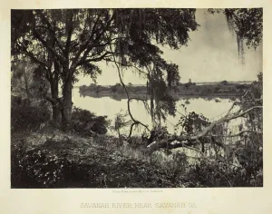 Barnard George Norman Collection: Savannah River, near Savannah, GA, 1866. Creator: George N. Barnard