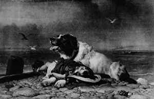 Lying Prints: Saved!, c1856, (1911). Artist: Edwin Henry Landseer