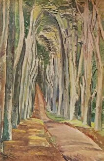 Tree Trunk Gallery: Savernake Forest, 1935. Artist: Paul Nash