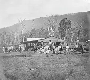 Timber Prints: Saw mill, possibly Coomera region