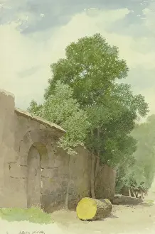 Bavaria Prints: Sawed-off tree trunk in front of a wall at the Rothenburg Wildbad