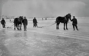 Sawing Prints: Sawing ice, between c1910 and c1915. Creator: Bain News Service