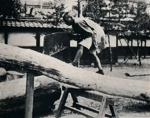 Bending Forwards Gallery: Sawing and planing are made with a pulling instead of a driving motion, c1900, (1921)