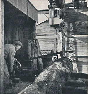 Pulley Block Prints: Sawing timber, 1941. Artist: Cecil Beaton