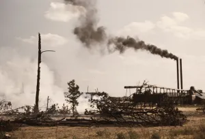 Sawmill Prints: Sawmill at the Greensboro Lumber Co. Greensboro, Ga. 1941?. Creator: Jack Delano