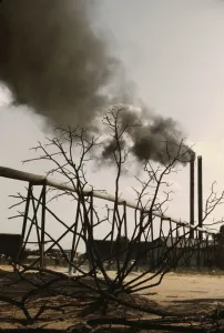 Sawmill at the Greensboro Lumber Co. Greensboro, Ga. 1941?. Creator: Jack Delano