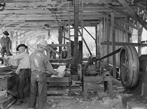 Co Operation Prints: The sawmill in operation... Ola self-help sawmill co-op