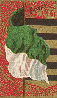 National Flag Prints: Saxony, from Flags of All Nations, Series 2 (N10) for Allen &amp