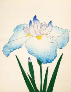 Clump Prints: Sazanami, No. 68, 1890, (colour woodblock print)