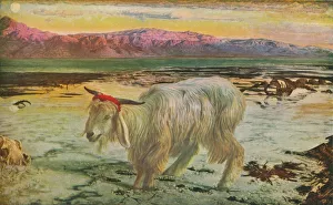Hunt Prints: The Scapegoat, 1854-56, (1911). Artist: William Holman Hunt