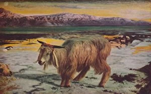 Goat Collection: The Scapegoat, 1856, (c1950). Creator: William Holman Hunt