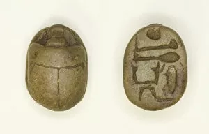 Tin Glazed Collection: Scarab: Aakheperkara (Thutmose I), Egypt, New Kingdom, Dynasty 18, Reign of Thutmose I