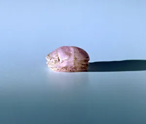 Scarab in amethyst, Ancient Egyptian, 13th century BC