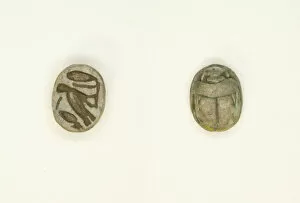 30th Dynasty Gallery: Scarab: Cobra, m-owl, and sign (sDm?), Egypt, New Kingdom-Late Period