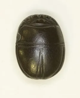 12th Dynasty Prints: Scarab: Uninscribed, Egypt, Middle Kingdom-Late Period, Dynasties 12-26