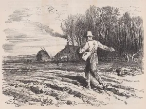 Seed Prints: Scattering Seed, from Le Magasin Pittoresque, May 1857