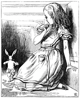 Scene from Alices Adventures in Wonderland by Lewis Carroll, 1865. Artist: John Tenniel Scene from Alices Adventures in Wonderland by Lewis Carroll, 1865. Artist: John Tenniel