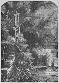 Creek Gallery: Scene on a Creek Emptying Into The Little Juniata, 1883