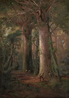 Extraction Prints: Scene of Kauri Bush, gumdiggers at work, 1892. Creator: Charles Blomfield