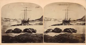 Tusk Prints: Scene de la mer glacial, ca. 1859. Creator: Isaac Israel Hayes