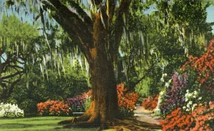 Magnolia Prints: Scene in Magnolia Gardens, near Charleston, S. C. 1942. Creator: Unknown