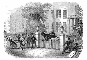 Scene in Privy Gardens, Whitehall, on Sunday last, 27 April 1844. Creator: Unknown