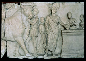 Images Dated 18th June 2013: Scene of the sacrifice of a bull to the god Mars, relief on the altar of Domitius Aenobarbus
