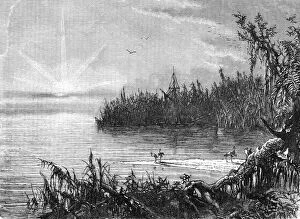 Hw Bates Gallery: Scene upon the St. John s, Florida; A Flying Visit to Florida, 1875. Creator: Thomas Mayne Reid