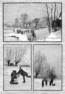 Sled Prints: Scenes on the frozen Thames: an extemporised sledge; at Twickenham; near Teddington
